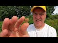 How To Find Arrowheads. Simplest Ways