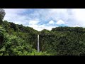 Hawaiian Rainforest Theme | Nature Sounds | Tropical Thunderstorm Ambience