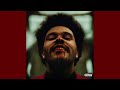 The Weeknd - Until I Bleed Out (slowed + reverb)