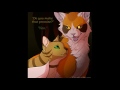 Crookedstar's Promise Speedpaint | You Poor Unfortunate Soul|