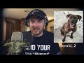 Rapping About Random Dogs That Need Homes