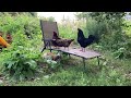 Chickens Lounging