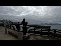 Pier 39 San Francisco | Sea Lions | Complete Tour