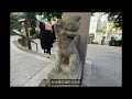 【週圍都係香港史 #3】香港第一個公園：動植物公園︳兵頭花園︳日本神社再現？︳華人與狗不得內進？