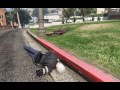 Stunts & Fails GTA5 Short