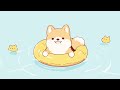 corgi lofi music 🍮 lofi chill 【Cute lofi music mix】 ✨ study/aesthetic/chill/relax ♪