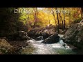 1 Hour of Soothing Mountain Creek Sounds for Relaxation, Sleep, and Stress Relief
