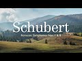 Schubert Romantic Symphonies Nos. 1 & 8