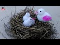 Make Bird with their little babies in nest from cotton. Gk craft