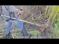 Stihl FS160 and FS 220 Brushcutter Test, Which is Best for the Site?