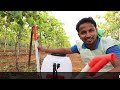 थ्री इडियट्स वाला वायरस जुगाड़🔥🔥Top 5 Smart Farming Techniques | Best Desi Jugaad Agriculture Tools