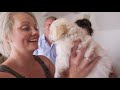 Brave Dog has a Complicated Pregnancy with a Crazy Outcome! | Bondi Vet