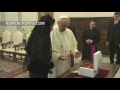 Pope meets with Queen Silvia of Sweden