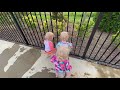TRIPLETS go to the POOL!! We lost the dog 😟... Super cute ending!