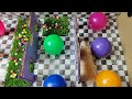 Obstacle courses for hamster | Miniature house for hamster | Naughty hamster