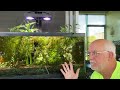 How to tell if you really have enough lighting for your aquarium without using a par-meter.