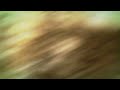 Causeneffect - Forbidden Endeavours - LYRIC VIDEO