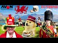 Doge in 70 Languages Meme