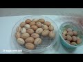 How to make an incubator at home this is very simple | كيف تصنع حاضنة في المنزل هذا بسيط جدا