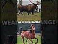Horse VS Moose #moose #horse #youtubeshorts #viral #trending #shorts #short #animal #shortvideo