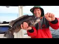 Blackfish Jigging - When Should You Set the Hook?