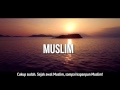 Salafi, Wahabi, Sufi, Manakah yang Benar? | Mufti Menk dan Dr. Zakir Naik