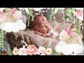 Pink Bunny Dreams/ Relax, Dream, Chill