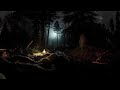 Forest Sounds | Wind | Night | 360 Video | Relax | Sleeping | VR