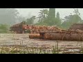 Strong 6x6 Timber Truck
