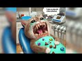 Cat Decayed Teeth by Eating Chocolate... 😿 Sad Cat #cat #cute #cutecat