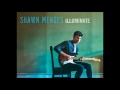 Ruin - Shawn Mendes (Audio)