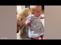 When your dog is your special friend   Cute dog and little human