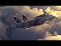 F-14 Tomcat: An Endangered Species