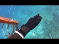 BERBURU | SPEARFISHING DAPAT IKAN GIGI TAJAM😱 |SPEARFISHING INDONESIA