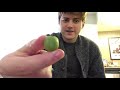 Camus Reviews Fruit Ep. 37: Kiwi Berries