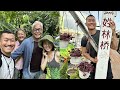 Thriving Plants Grown From Cuttings! Charming Penang Balcony Garden By a Passionate Grower