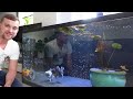 AMAZING ORANDA from Star Fisheries | Adding new fish to the Goldfish MEGA tank!