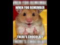 Hamster 🐹 Memes {Part7}