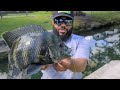 $5 TOY FISHING ROD Catches BIG FISH!!!