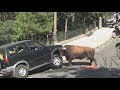 Bull Destroys 4x4 || ViralHog