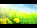 Relaxing Morning Music - Calming and Positive Feelings (Ashley)
