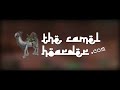 TheCamelHoarder.com - Camel Trade Proof/Test