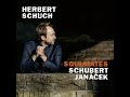 Schubert: 6 Moments musicaux, Op. 94, D. 780 - No. 2, Andantino