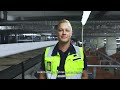 Hamburg Airport - Behind the Scenes: #06 Gepäckumschlag