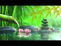 Relaxing Piano Music + Insomnia and Healing 🌿 Relaxing Music, Sleep Music, Meditation, Nature Sound