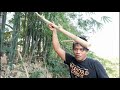 Ciri-ciri Pohon Yang Ada Bambu Pethuk Aslinya