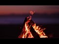 Relaxing Bonfire Sounds (15 Minutes)
