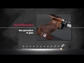 STEYR Evo 10 Lucht pistool /Air pistol