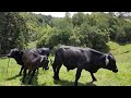 Touring Arcadia Farm -  Video 5