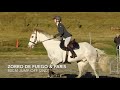 Winter Show Jumping - June 2020 [Gorge River Equestrian]